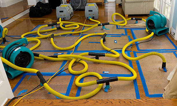 Professional Crawl Space Water Removal technician working in Lake Isabella, MI